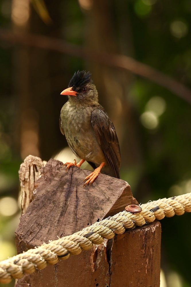 Photograph by Евгения Казакова