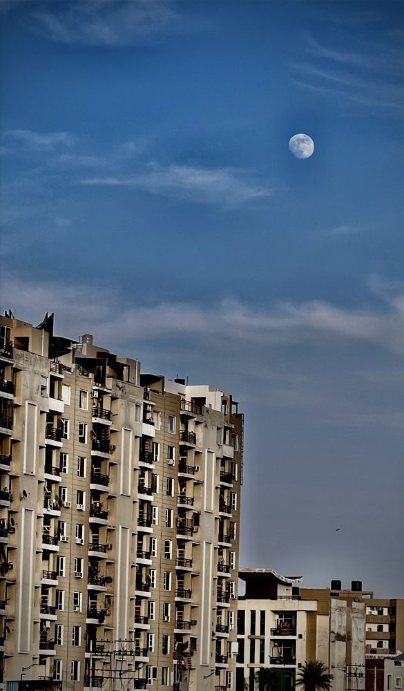 Photograph by Sharma Dr Megha