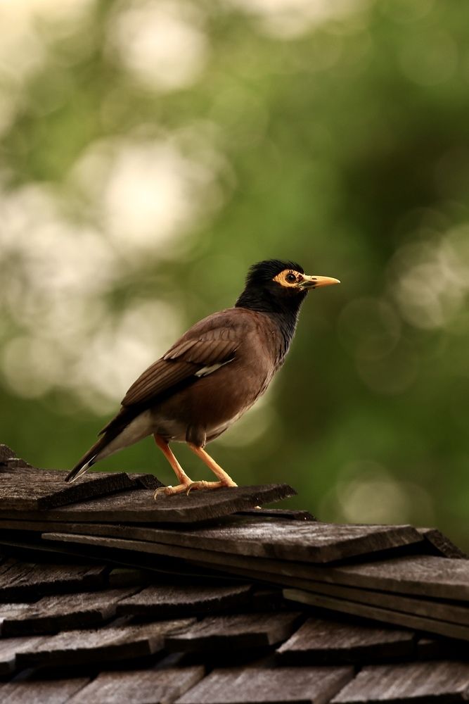 Photograph by Евгения Казакова