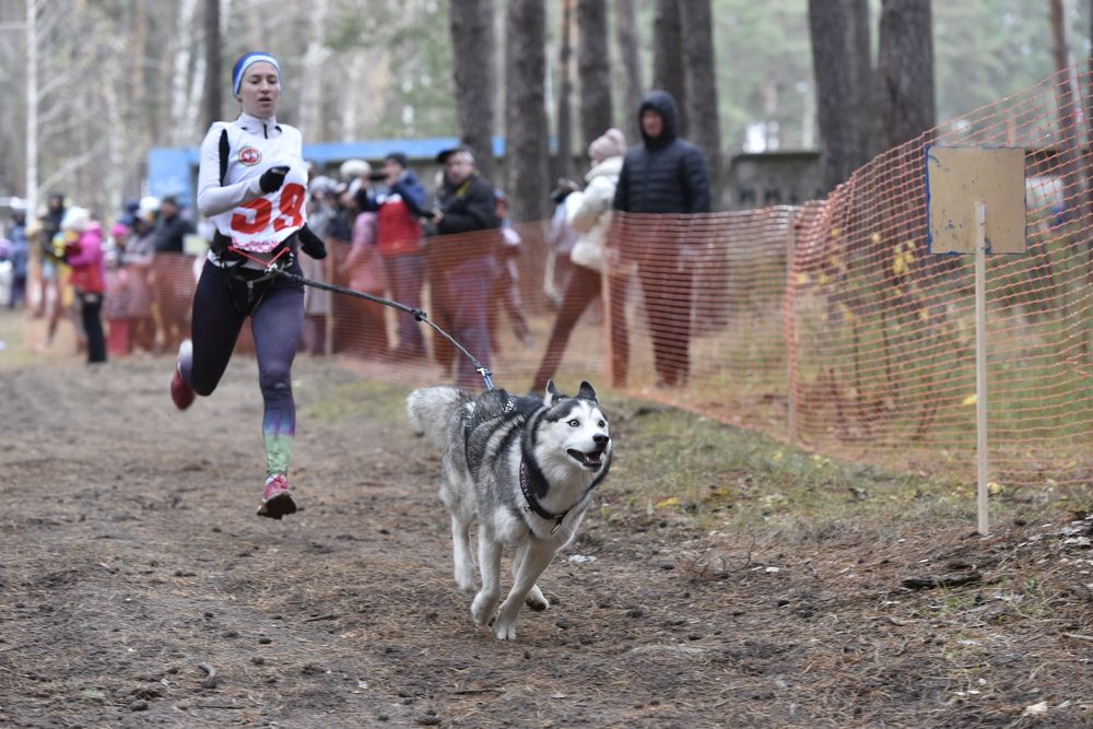 "Навстречу ветру"