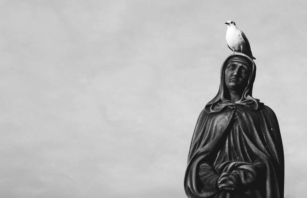 Photograph by Svitlana Zinovieva