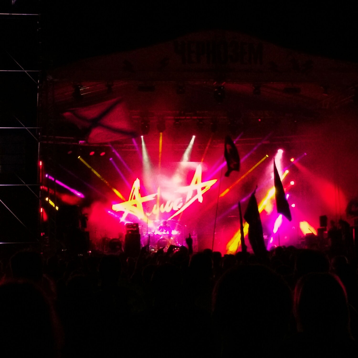 Photo #11771307