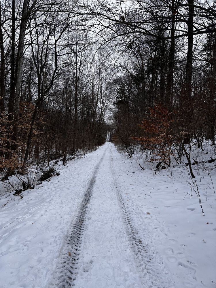 Photograph by Can O. Gunay