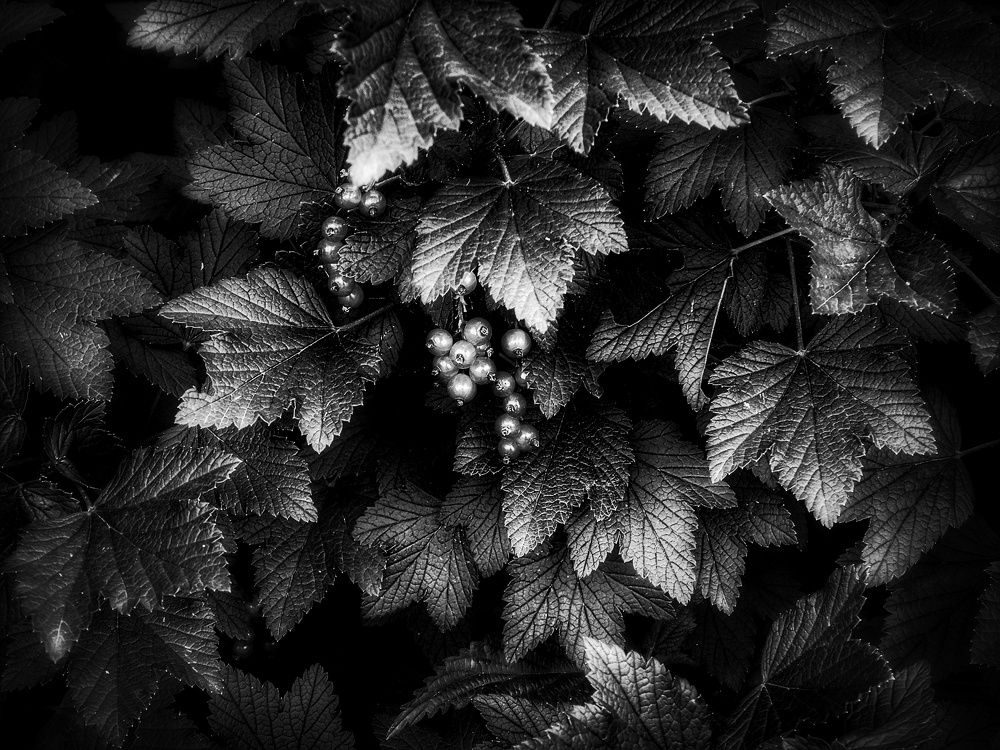 Фотография автора Екатерина Солохина