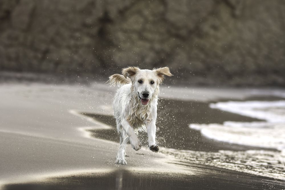 Photograph by Natalia Hidalgo