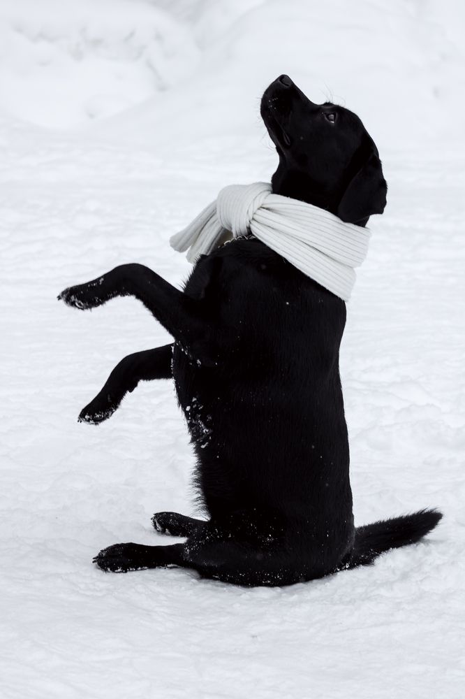 Photograph by Ольга Осинина