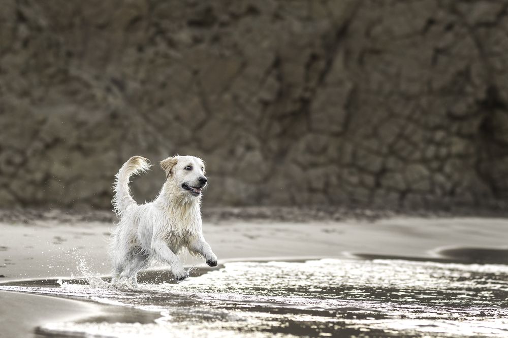 Photograph by Natalia Hidalgo