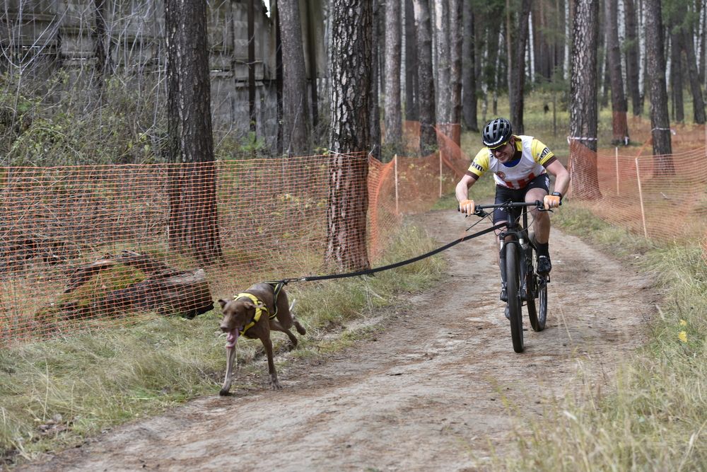 "Мой день на велосипеде с верным другом"
