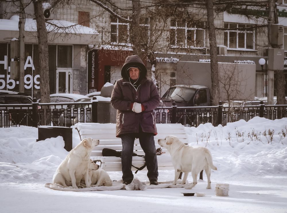 На пропитание