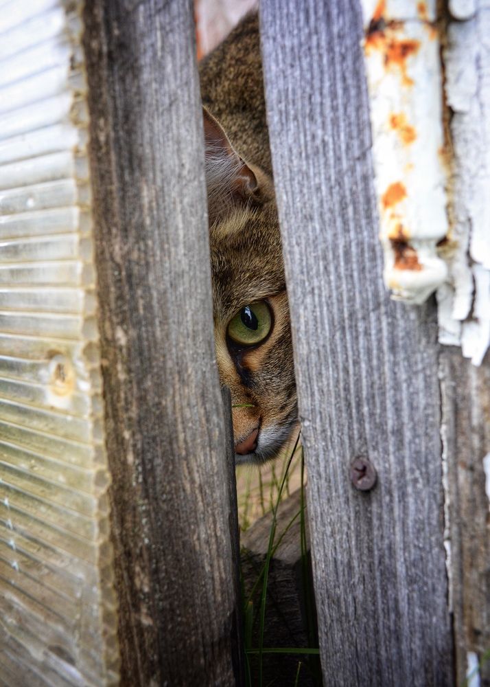 Photograph by Артемий