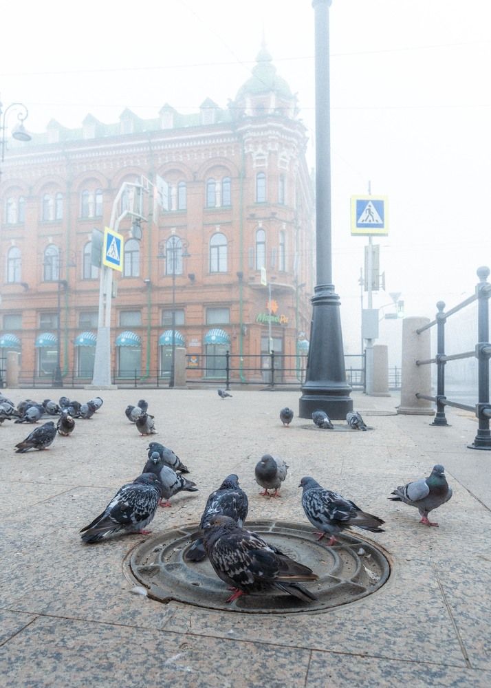 Photograph by Евгений Важенин