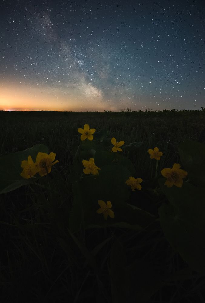 Майская ночь