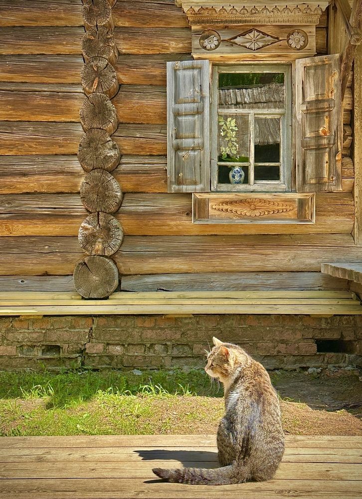 Симметрия / Symmetry