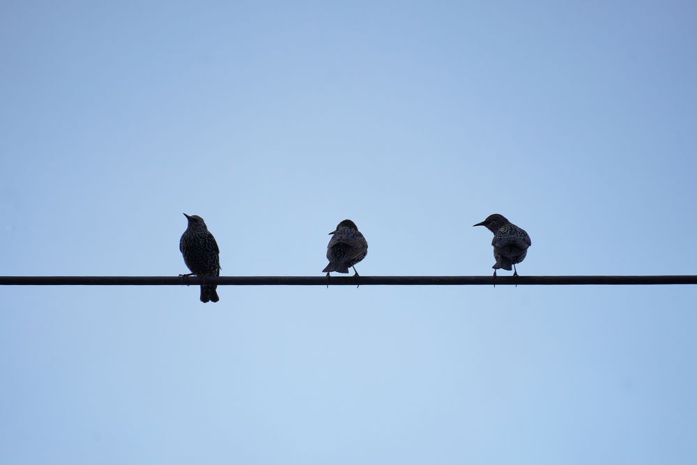 Photograph by Наталья Лабодина