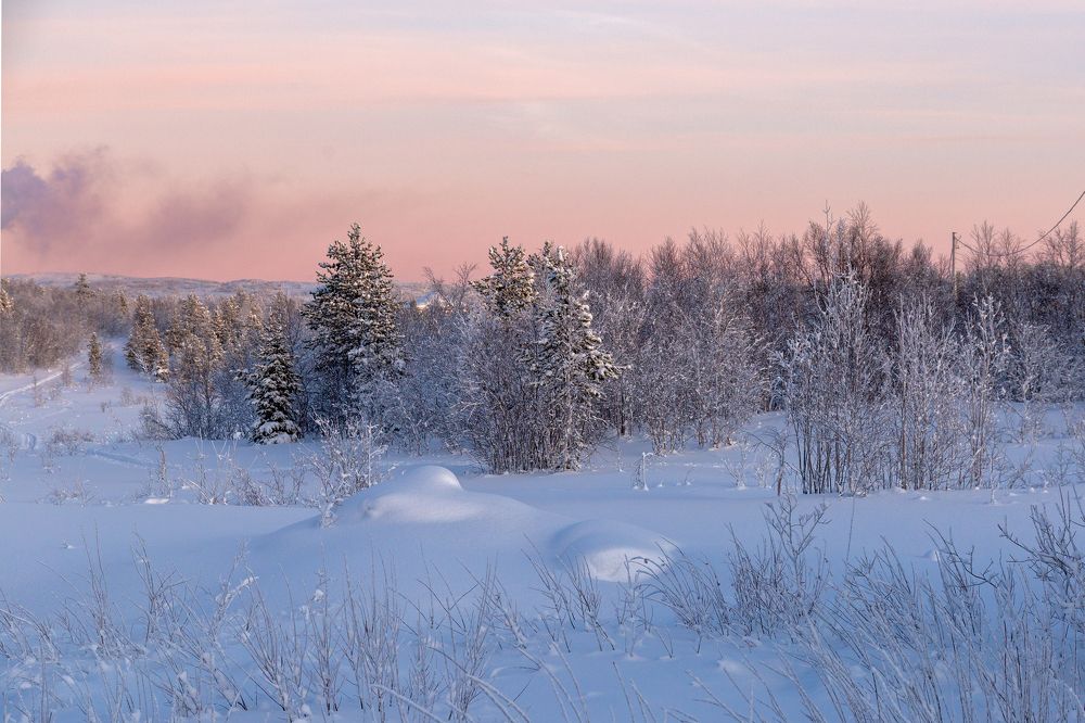 Photograph by Зоя Эль