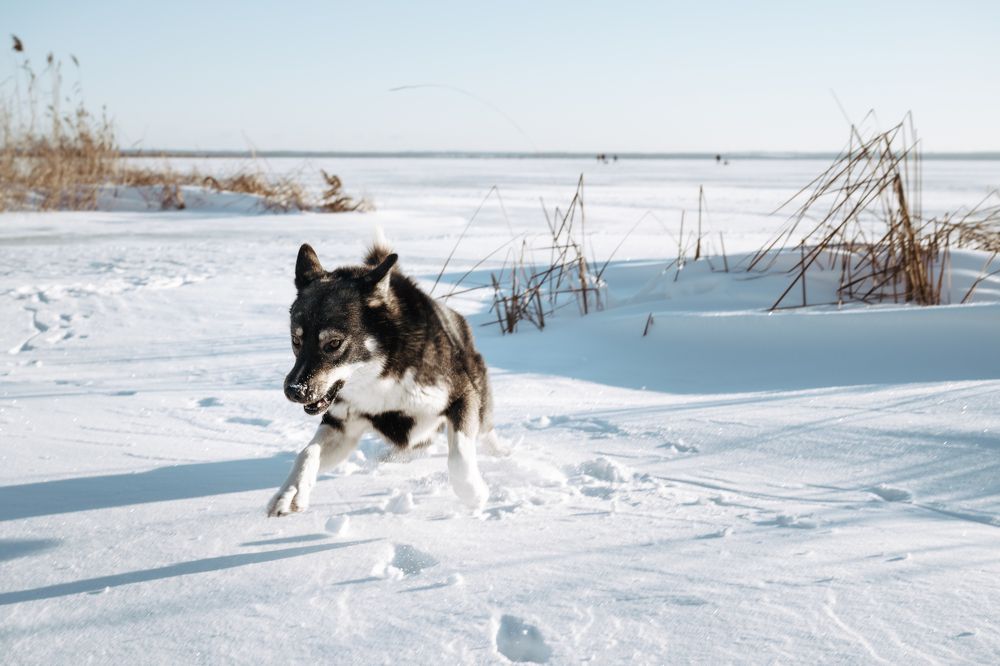 Photograph by Светлана