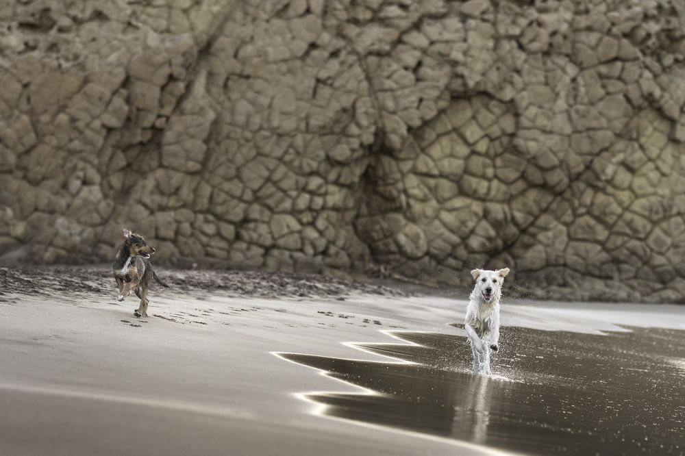 Photograph by Natalia Hidalgo