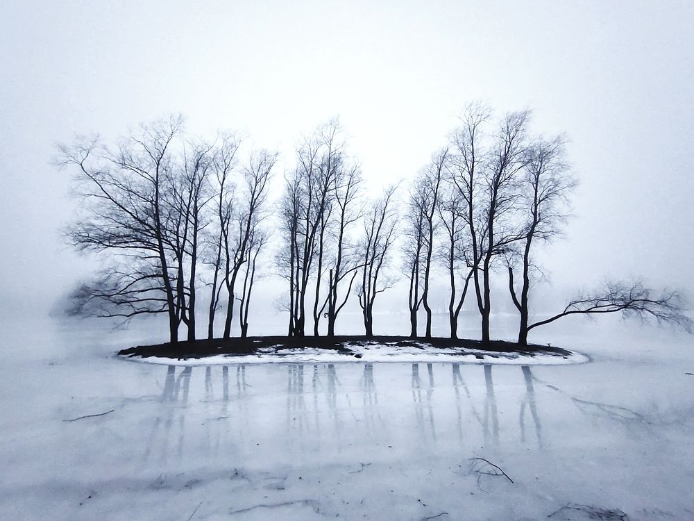 Photograph by Анастасия Мошкова