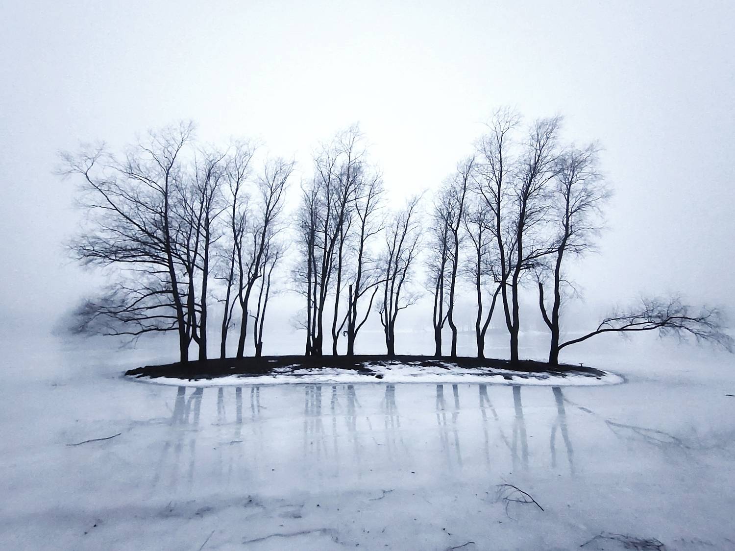 Photo #11771500