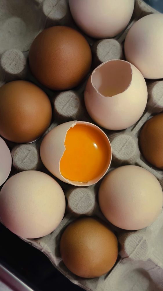 Фотография автора Svetlana Siniakova