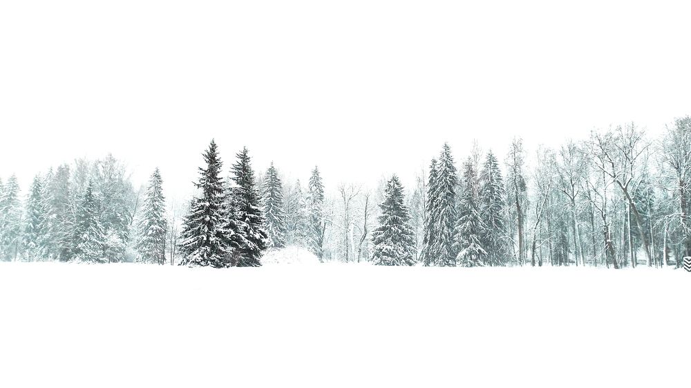 Photograph by Анастасия Мошкова