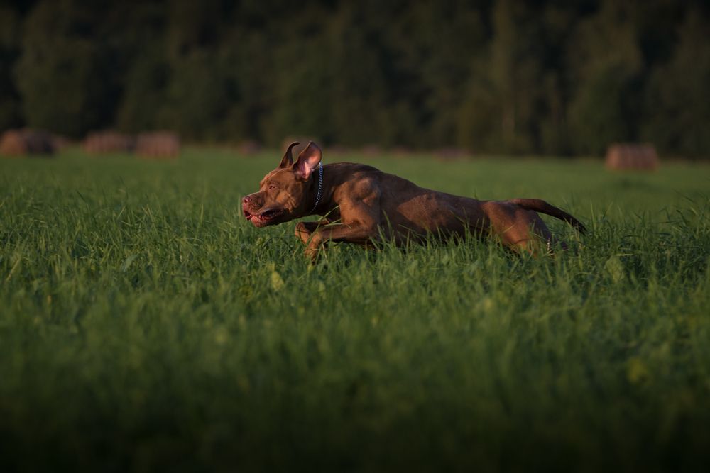 Photograph by Roman Fabrichny