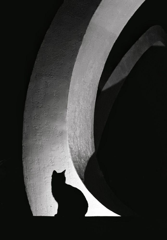 Photograph by Юлия Голубкова