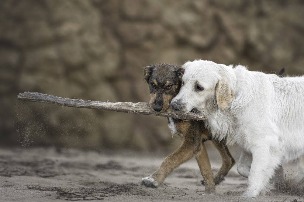 Photograph by Natalia Hidalgo