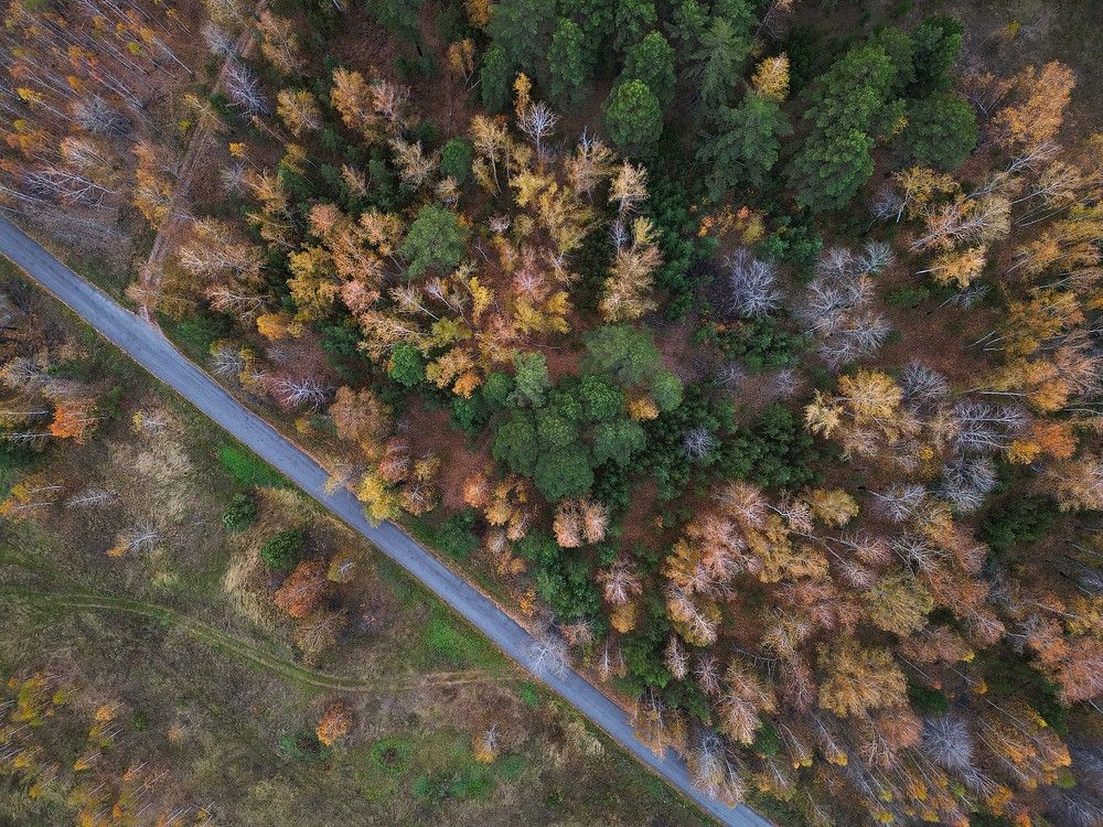 Photograph by Светлана Полякова