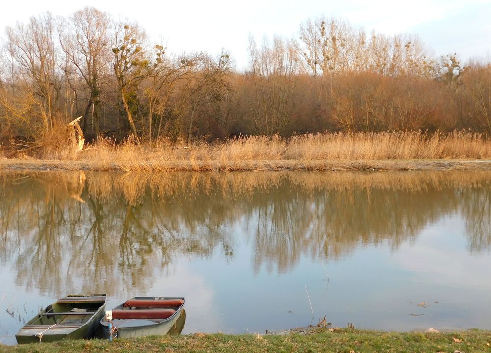 Rába River in winter
