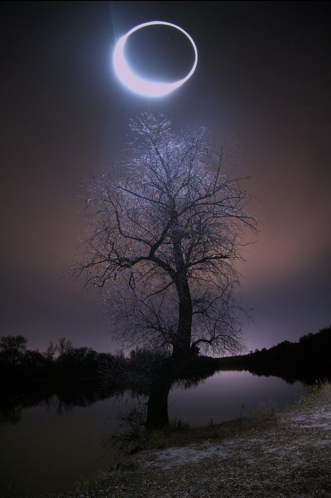 Photograph by Светлана Полякова