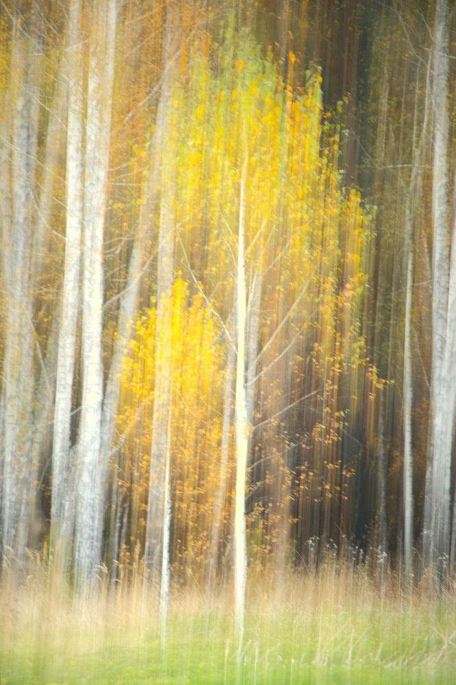 Photograph by Светлана Полякова