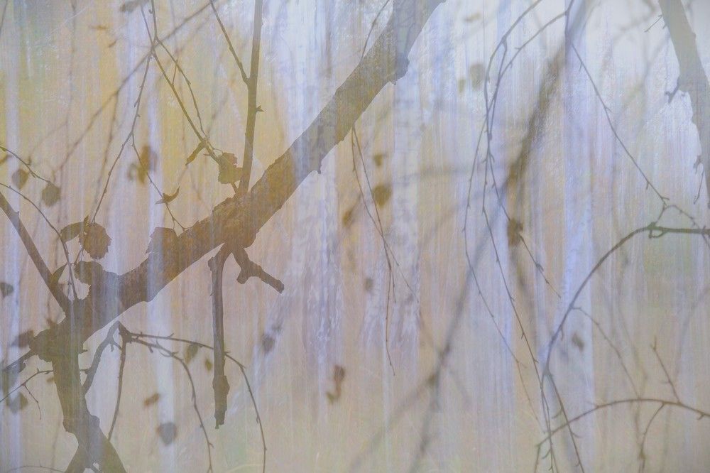 Photograph by Светлана Полякова