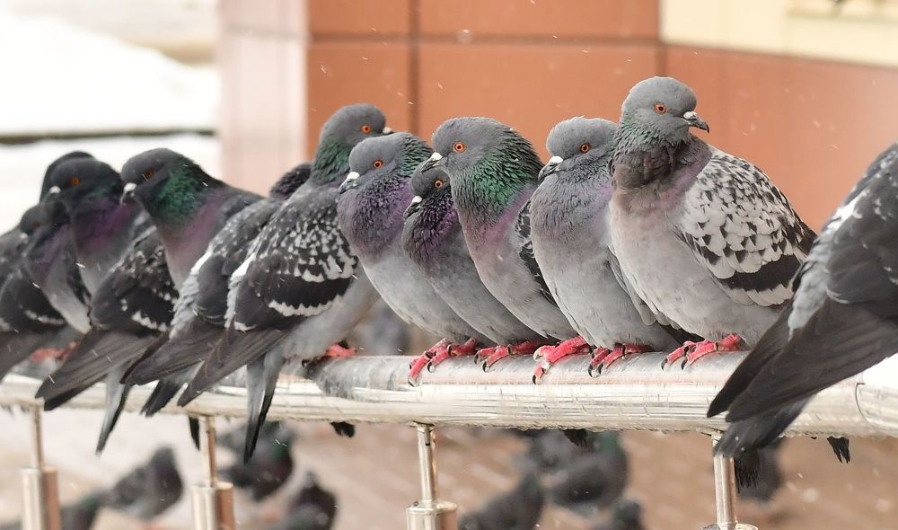 Photograph by Николай Абакумов