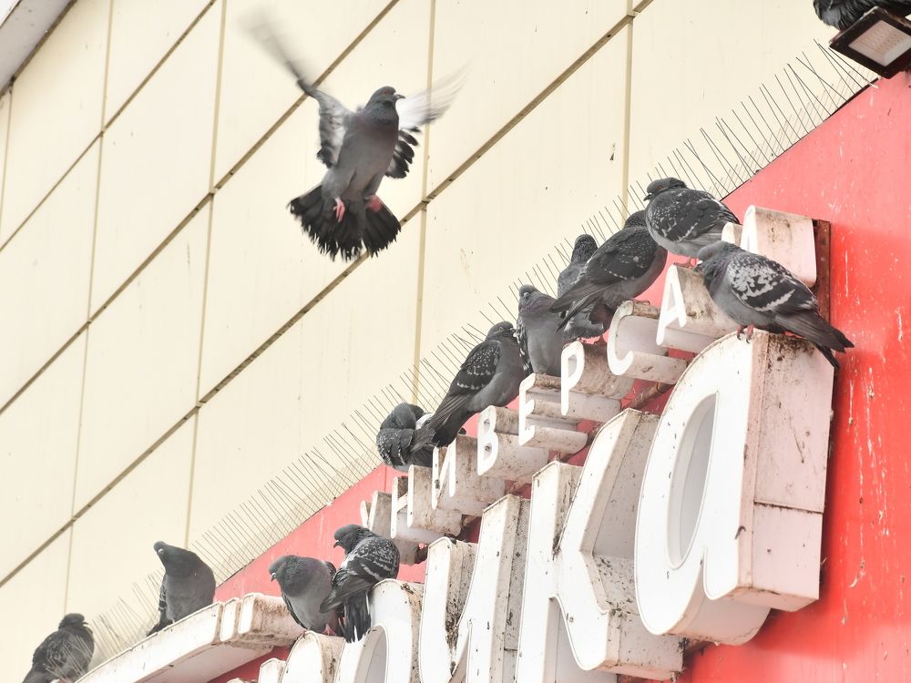 Photograph by Николай Абакумов