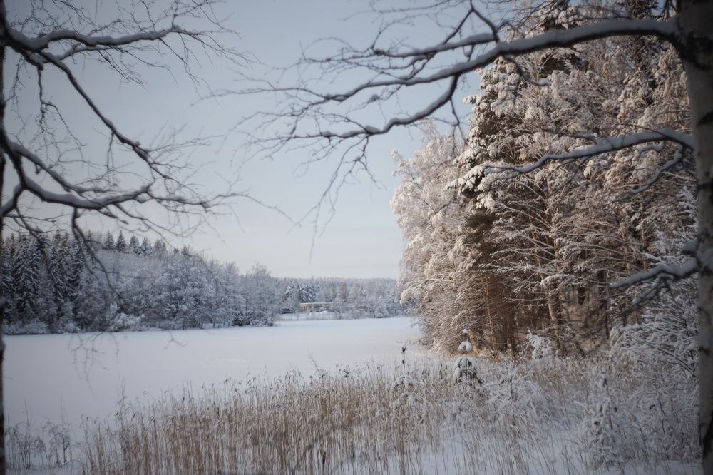 Photograph by Елена Шмарловская