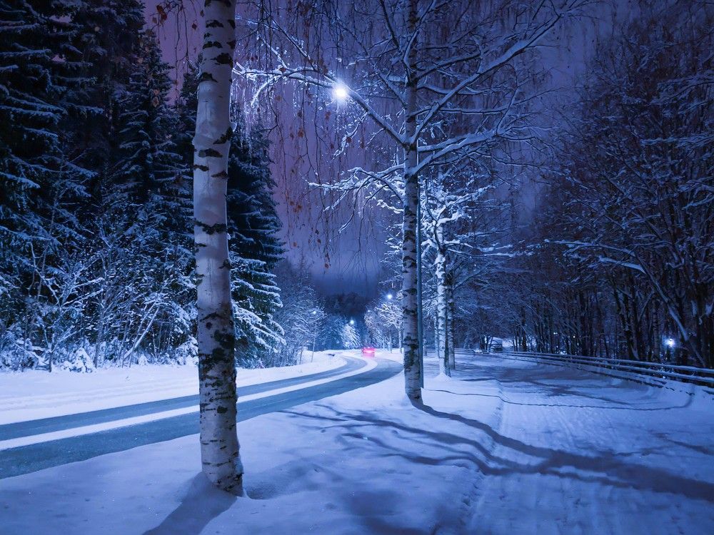 Photograph by Елена Шмарловская