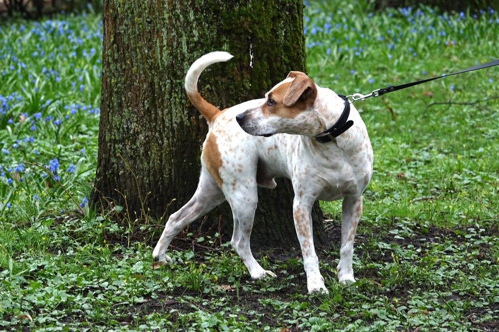 Photograph by jelena konickaja