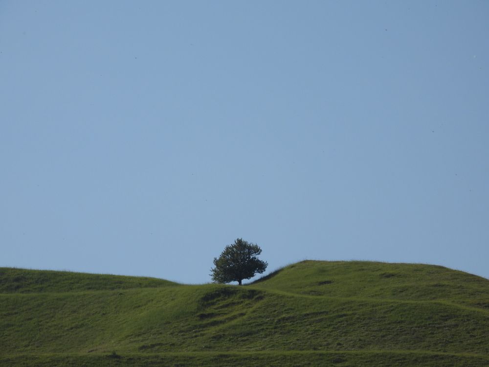 Photo #11771726