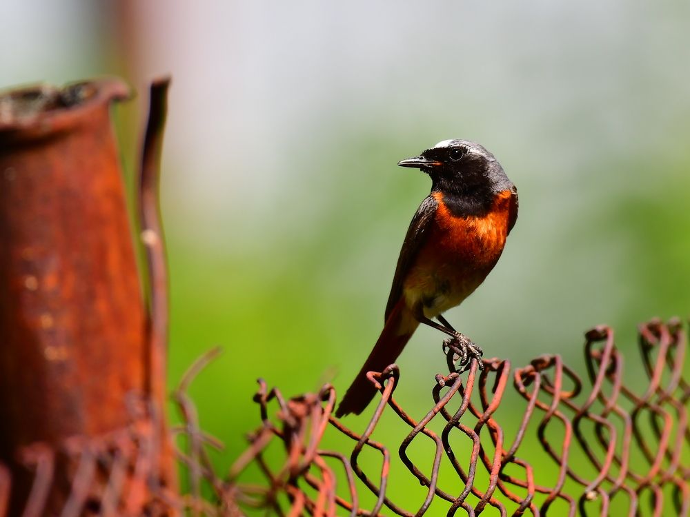 Photograph by Николай Абакумов