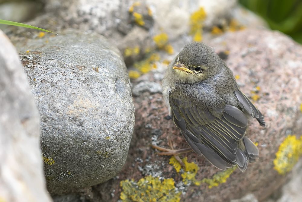 Photograph by Татьяна Феденкова