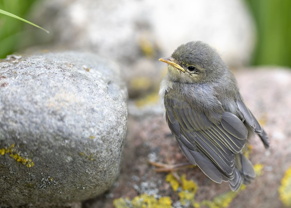 Photograph by Татьяна Феденкова