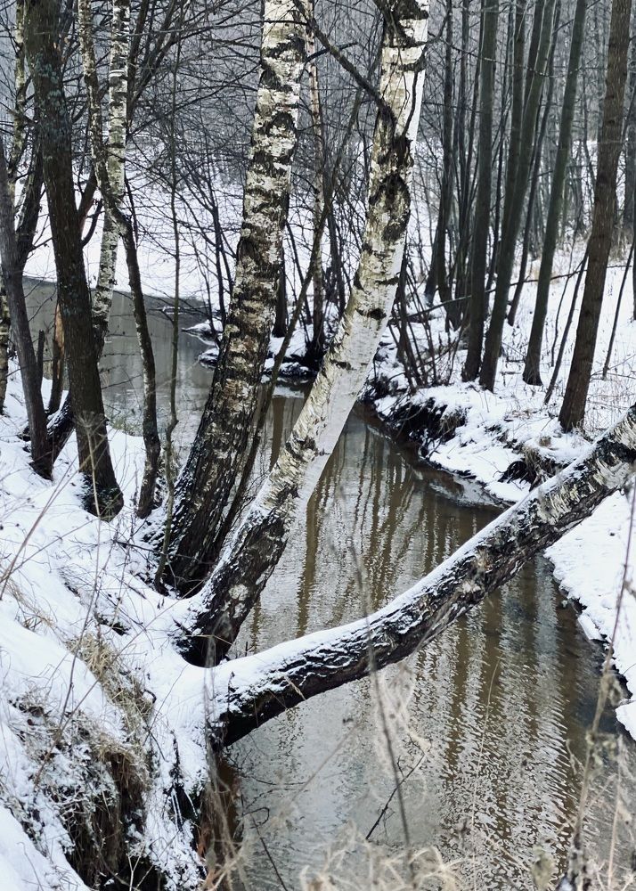 Photograph by Elena Mariushkina