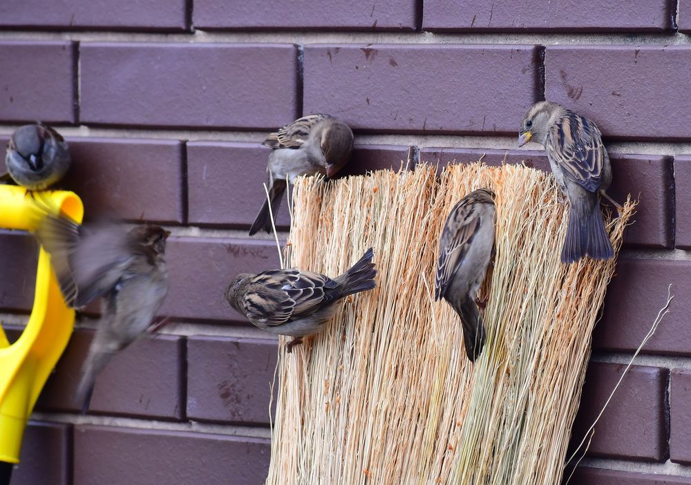 Photograph by Николай Абакумов