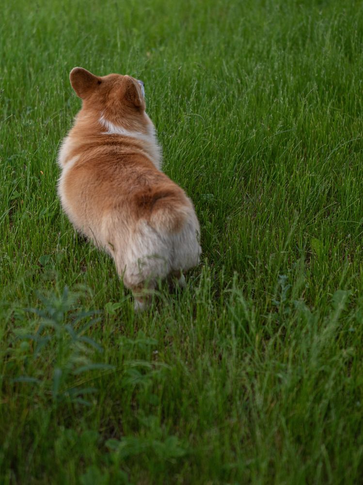 Фотография автора Доляна Горохова