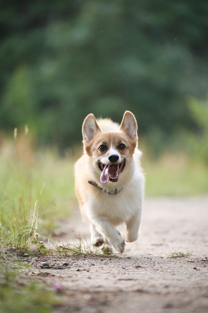 Photograph by Марина Аникина