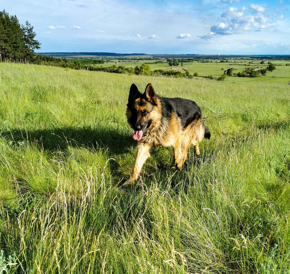 Photograph by Ольга Попченко