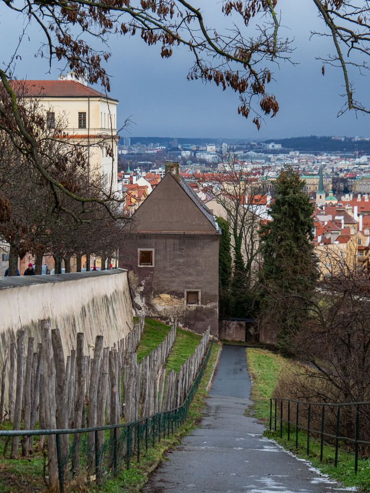 Фотография автора Доляна Горохова