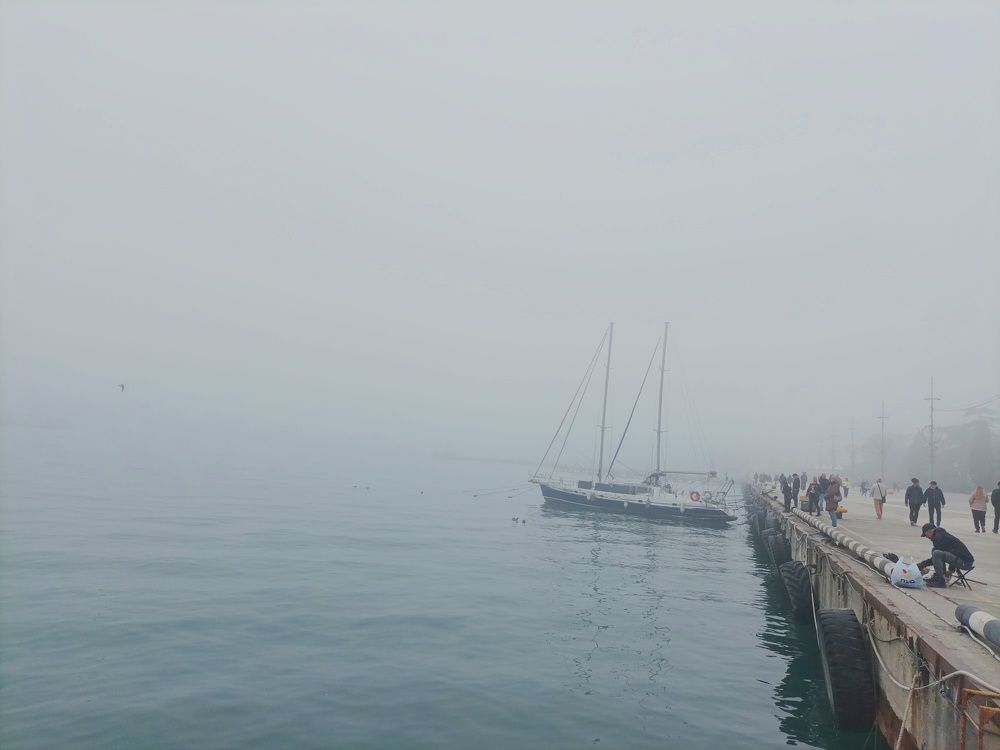 Photograph by Светлана Кучеренко