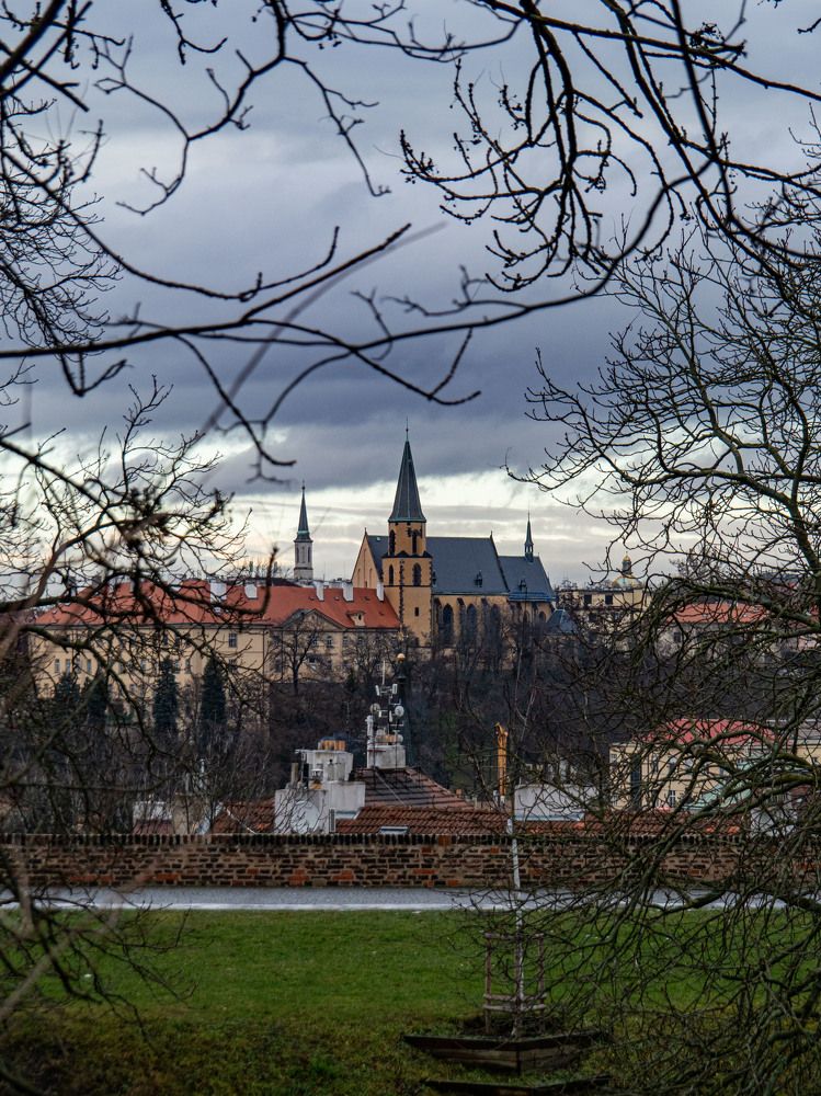 Фотография автора Доляна Горохова